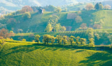 Odhod avtobusa in vožnja v smeri Bistrice ob Sotli do Kumrovca, najbolj poznane zagorske vasi, kjer lahko spoznamo zapuščino hrvaškega Zagorja od konca 19. stoletja.