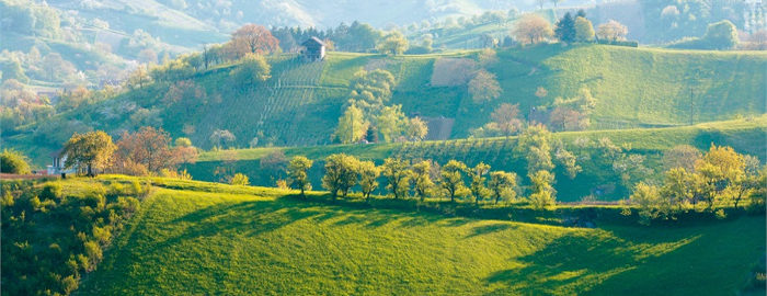 Odhod avtobusa in vožnja v smeri Bistrice ob Sotli do Kumrovca, najbolj poznane zagorske vasi, kjer lahko spoznamo zapuščino hrvaškega Zagorja od konca 19. stoletja.
