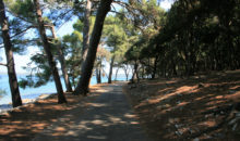 Pustite se zapeljati v raj! V objem blage mediteranske klime, kjer uspeva 680 vrst avtohtonih in eksotičnih rastlin. Otoki so dom številnim vrstam ptic.