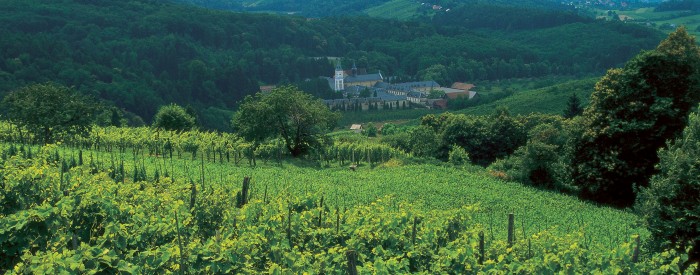 Čakajo nas številni srednjeveški gradovi, skrite legende in nepozabna doživetja ob dolini reke Save,...