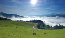 Zanimiva in slikovita pot polna koroških dobrot in gostoljubnih domačinov po neznani Koroški.