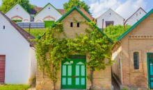 Odkrijte južno Madžarsko ter madžarski melos in temperament.
2 dni, 210 EUR (gurmanska večerja).